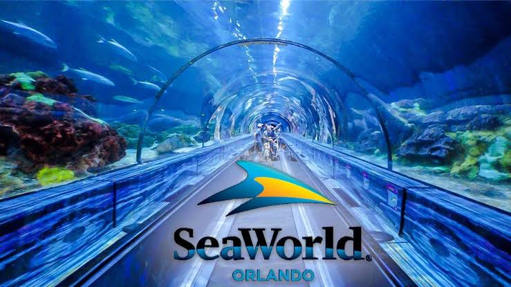 SeaWorld Orlando Single-Day Ticket